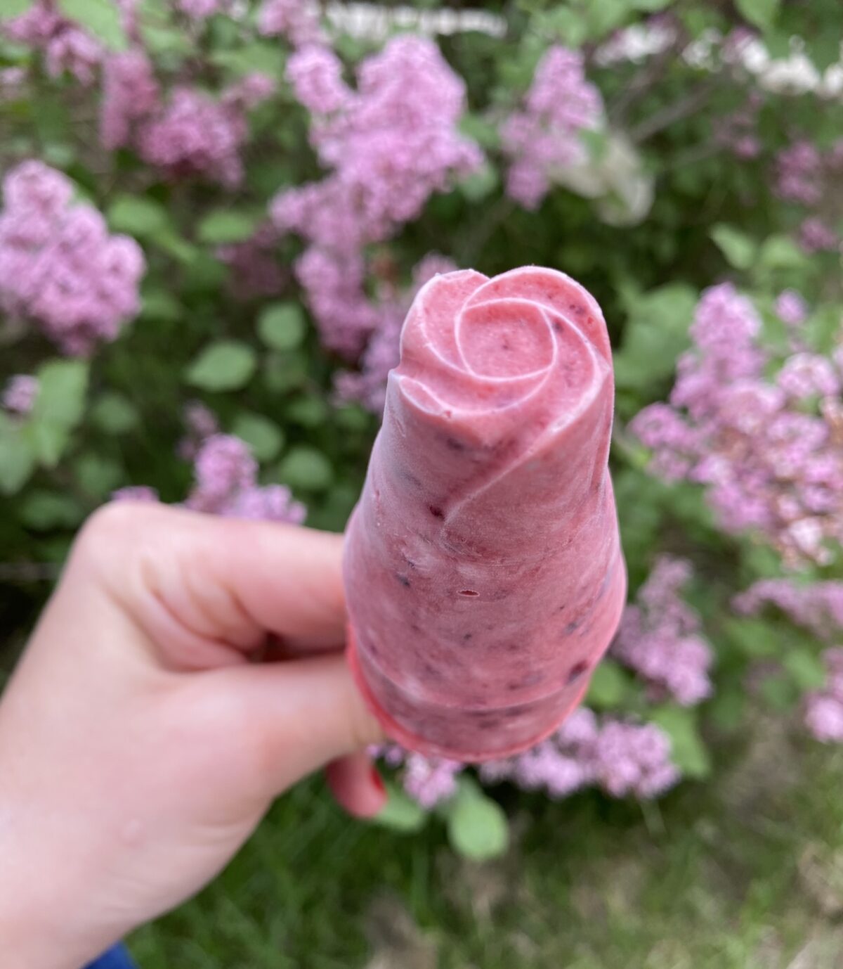 înghețată_de_casă