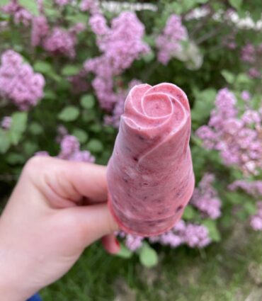 înghețată_de_casă